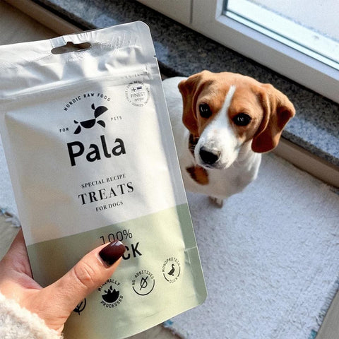 Hond samen met de verpakking van Pala Dog Treats 100% Duck – natuurlijke hondensnacks van eend, luchtgedroogd, monoproteïne en hypoallergeen
