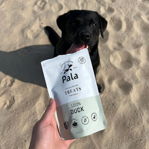 Hond samen met de verpakking van Pala Dog Treats 100% Duck – natuurlijke hondensnacks van eend, luchtgedroogd, monoproteïne en hypoallergeen