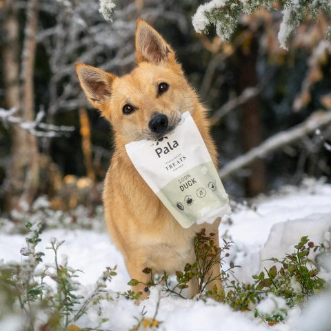 Hond samen met de verpakking van Pala Dog Treats 100% Duck – natuurlijke hondensnacks van eend, luchtgedroogd, monoproteïne en hypoallergeen