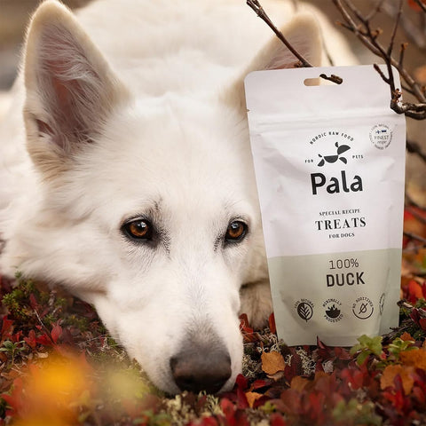Hond samen met de verpakking van Pala Dog Treats 100% Duck – natuurlijke hondensnacks van eend, luchtgedroogd, monoproteïne en hypoallergeen