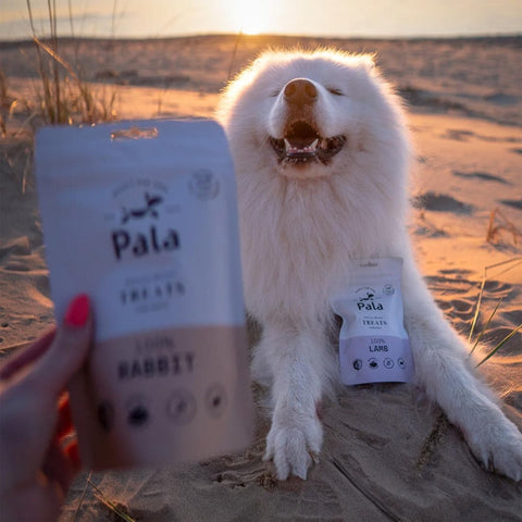 Hond samen met de verpakking van Pala Dog Treats 100% Lamb – natuurlijke hondensnacks van lam, luchtgedroogd, monoproteïne en hypoallergeen