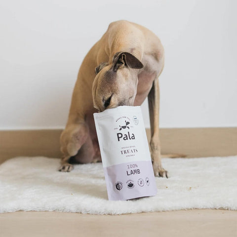 Hond geniet van Pala Dog Treats 100% Lamb – gezonde, graanvrije hondensnacks van lam, rijk aan eiwitten en vitaminen, licht verteerbaar en voedzaam
