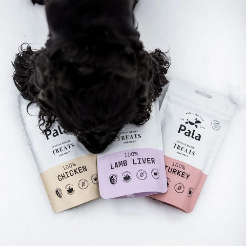 Hond samen met de verpakking van Pala Dog Treats 100% Lamb Liver – natuurlijke hondensnacks van lamslever, luchtgedroogd, monoproteïne en hypoallergeen