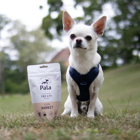 Hond samen met de verpakking van Pala Dog Treats 100% Rabbit – natuurlijke hondensnacks van konijn, luchtgedroogd, monoproteïne, graanvrij en hypoallergeen