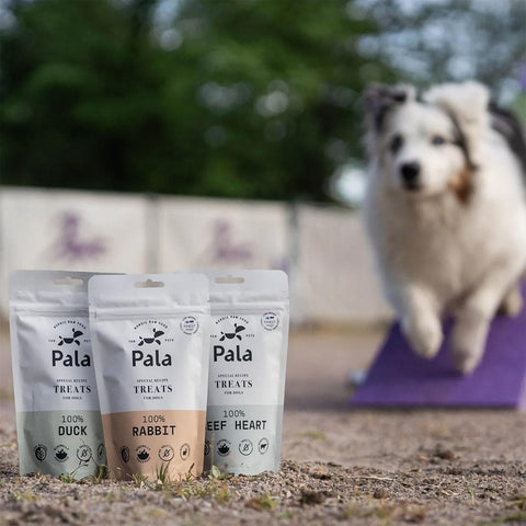 Hond samen met de verpakking van Pala Dog Treats 100% Rabbit – natuurlijke hondensnacks van konijn, luchtgedroogd, monoproteïne, graanvrij en hypoallergeen