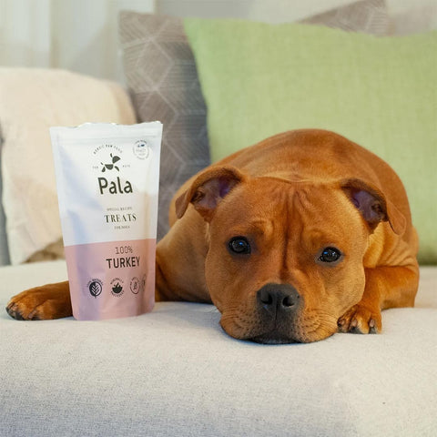 Hond samen met de verpakking van Pala Dog Treats 100% Turkey – natuurlijke hondensnacks van kalkoen, luchtgedroogd, monoproteïne en hypoallergeen
