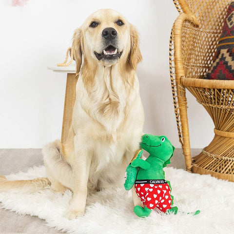 PetShop by Fringe Studio - Bachelor-Rex - Puppy Village.nl