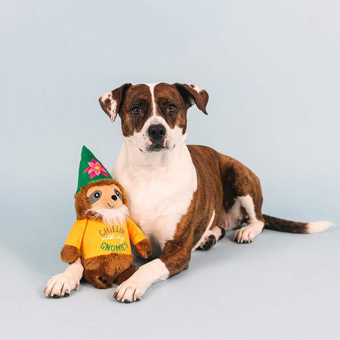 PetShop by Fringe Studio - Chillin' With My Gnomies - Puppy Village.nl