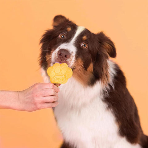 Smoofl Hondenijsjes – Magic Mango - Puppy Village.nl