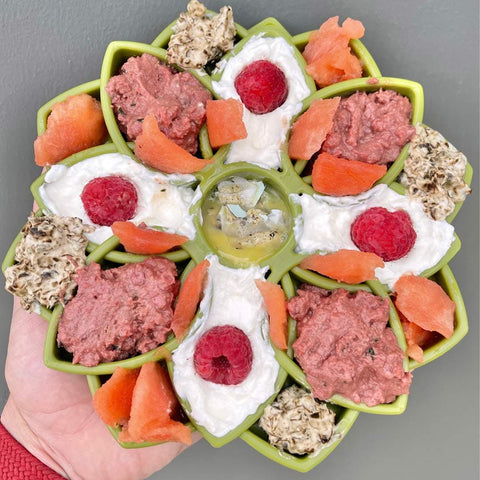 SodaPup eTray Mandala Design Slow Feeder