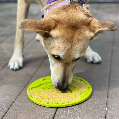 SodaPup Licking eMat with Suction Cups - Tree of Life - Puppy Village.nl