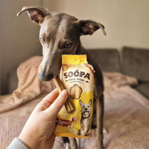 Soopa Dental Sticks Banaan & Pindakaas – hond met verpakking – natuurlijke kauwsnack voor honden, graanvrije en hypoallergene gebitsverzorging