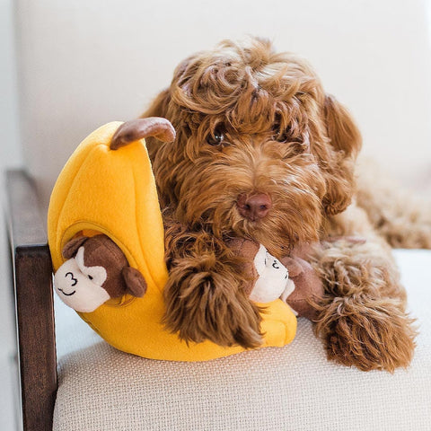 Hond samen met de ZippyPaws Zippy Burrow Monkey ’n Banana – interactief snuffel- en verstopspeelgoed voor honden, pluche banaan met drie losse, piepende aapjes