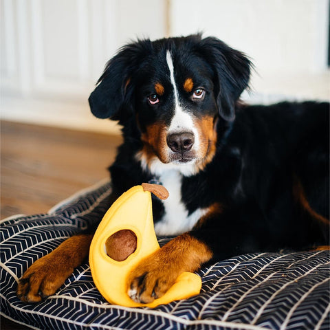 ZippyPaws Zippy Burrow – Monkey 'n Banana