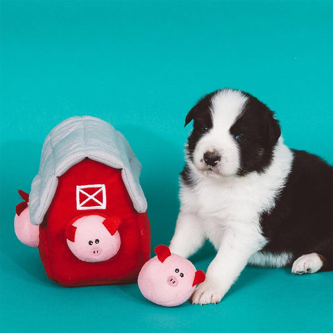 Hond samen met de ZippyPaws Zippy Burrow Pig Barn with Bubble Babiez – interactief snuffel- en verstopspeelgoed voor honden, pluche schuur met drie losse, piepende biggetjes