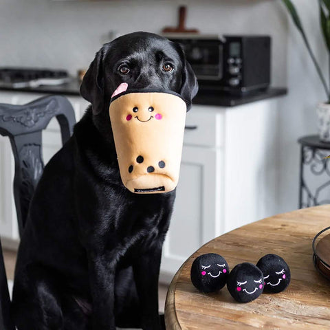Hond samen met de ZippyPaws Zippy Burrow Boba Milk Tea – interactief snuffel- en verstopspeelgoed voor honden, pluche bubble tea beker met drie zachte, piepende tapioca-balletjes