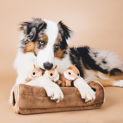 Hond samen met de ZippyPaws Zippy Burrow Log with Chipmunks – interactief snuffel- en verstopspeelgoed voor honden, pluche boomstam met drie losse, piepende eekhoorntjes