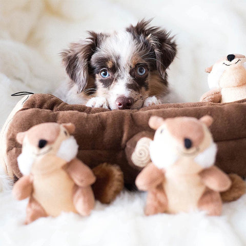Puppy samen met de ZippyPaws Zippy Burrow Log with Chipmunks – interactief snuffel- en verstopspeelgoed voor honden, pluche boomstam met drie losse, piepende eekhoorntjes