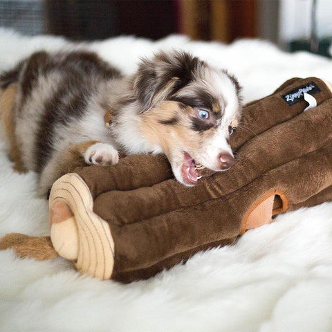 Puppy samen met de ZippyPaws Zippy Burrow Log with Chipmunks – interactief snuffel- en verstopspeelgoed voor honden, pluche boomstam met drie losse, piepende eekhoorntjes