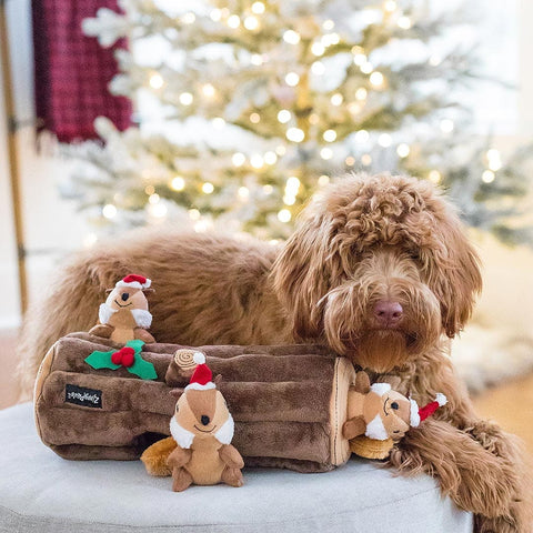 Hond samen met de ZippyPaws Holiday Burrow Yule Log with Chipmunks – interactief verstop- en snuffelspeelgoed voor honden, pluche boomstam met drie piepende eekhoorntjes met kerstmuts