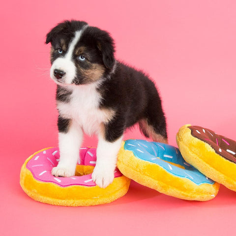 ZippyPaws Jumbo Donutz – Blueberry
