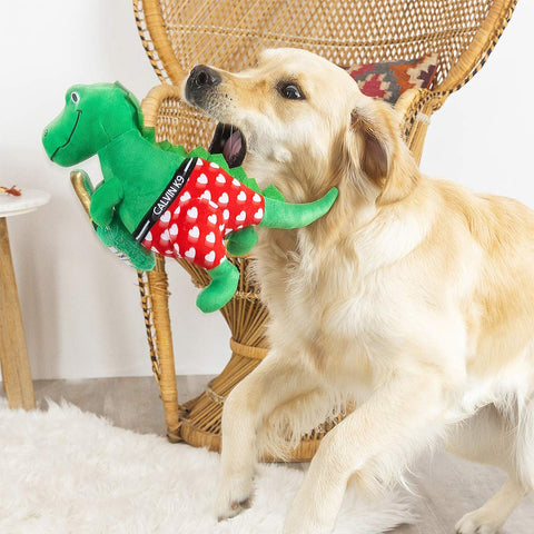 PetShop by Fringe Studio - Bachelor-Rex (Video) - Puppy Village.nl