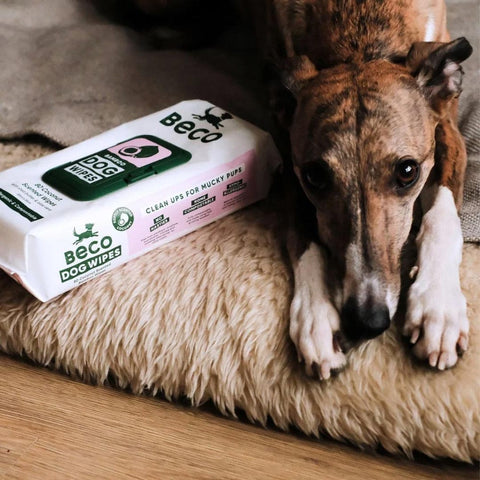 Beco Bamboo Dog Wipes – Kokosgeur