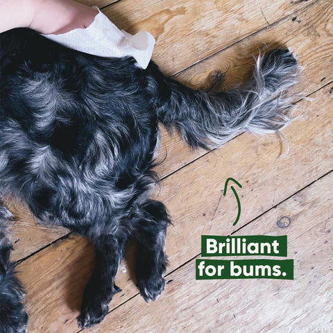 Beco Bamboo Dog Wipes – Kokosgeur