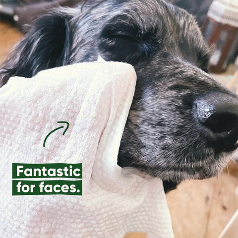 Beco Bamboo Dog Wipes – Kokosgeur