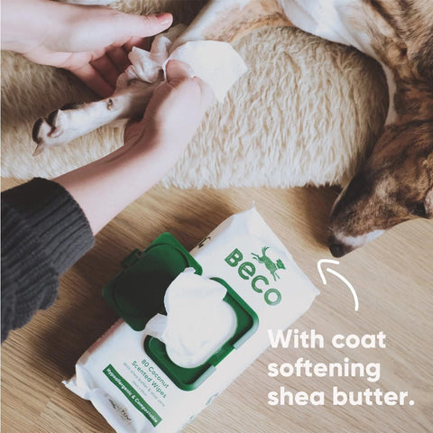 Beco Bamboo Dog Wipes – Kokosgeur