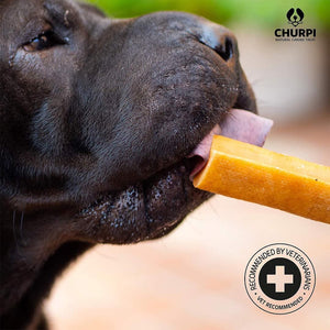 CHURPI Himalayan Yakkaas Bar – hond likt aan de Himalaya yakkaas bar, harde snack ter ondersteuning van gebitsverzorging en mondgezondheid