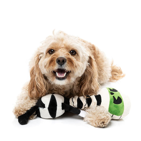 Hond speelt met een zwart-witte pluche mummie tussen de voorpoten