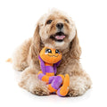 Hond speelt met een oranje-paarse pluche slang tussen de voorpoten