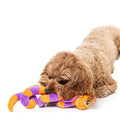 Hond speelt met een oranje-paarse pluche slang met geknoopt lichaam