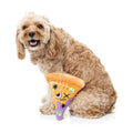 Hond speelt met een pluche pizzapunt tegen de voorpoten