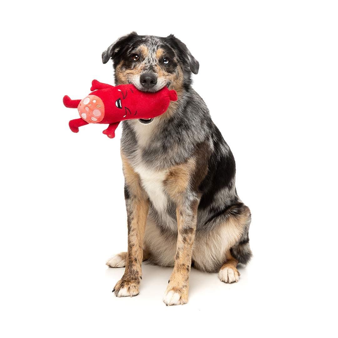 Hond speelt met FuzzYard Meat Head Pepper-Toni – duurzaam pluche hondenspeeltje in de vorm van een vrolijke salamiworst met lachend geborduurd gezicht en rode armpjes en beentjes