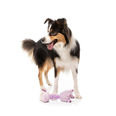 FuzzYard Neck Minnits – Neckita the Llama piepend pluche hondenspeelgoed, zwart-witte hond spelend met lama-knuffel van FuzzYard