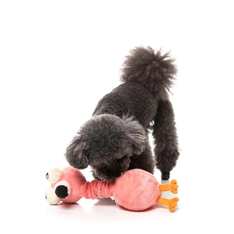 FuzzYard Neck Minnits – Neckole the Flamingo piepend pluche hondenspeeltje, zwarte hond spelend en kauwend met roze flamingo
