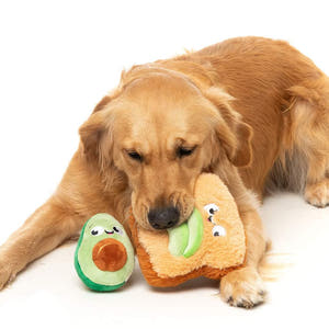 Golden Retriever met FuzzYard Perfect Match Avocado & Toast – pluche set hondenspeeltjes bestaande uit een avocado en een toast met avocadopartjes, beide met vrolijke geborduurde gezichtjes