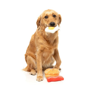 Golden Retriever met FuzzYard Perfect Match Dog's Breakfast – pluche set hondenspeeltjes in de vorm van een ontbijt bestaande uit een pannenkoek met blauwe bessen, een plak bacon en een gebakken spiegelei