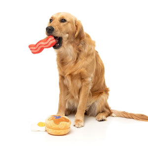 Golden Retriever met FuzzYard Perfect Match Dog's Breakfast – pluche set hondenspeeltjes in de vorm van een ontbijt bestaande uit een pannenkoek met blauwe bessen, een plak bacon en een gebakken spiegelei