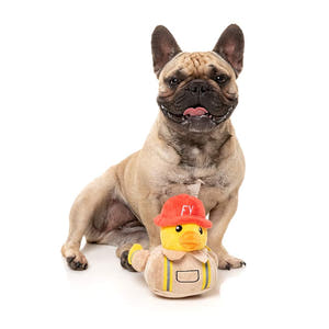 FuzzYard Quackson Five - Firequacker - Puppy Village.nl