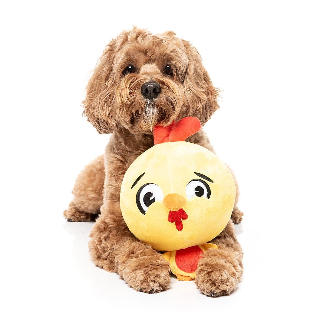 FuzzYard Noggins – Hen Diesel
