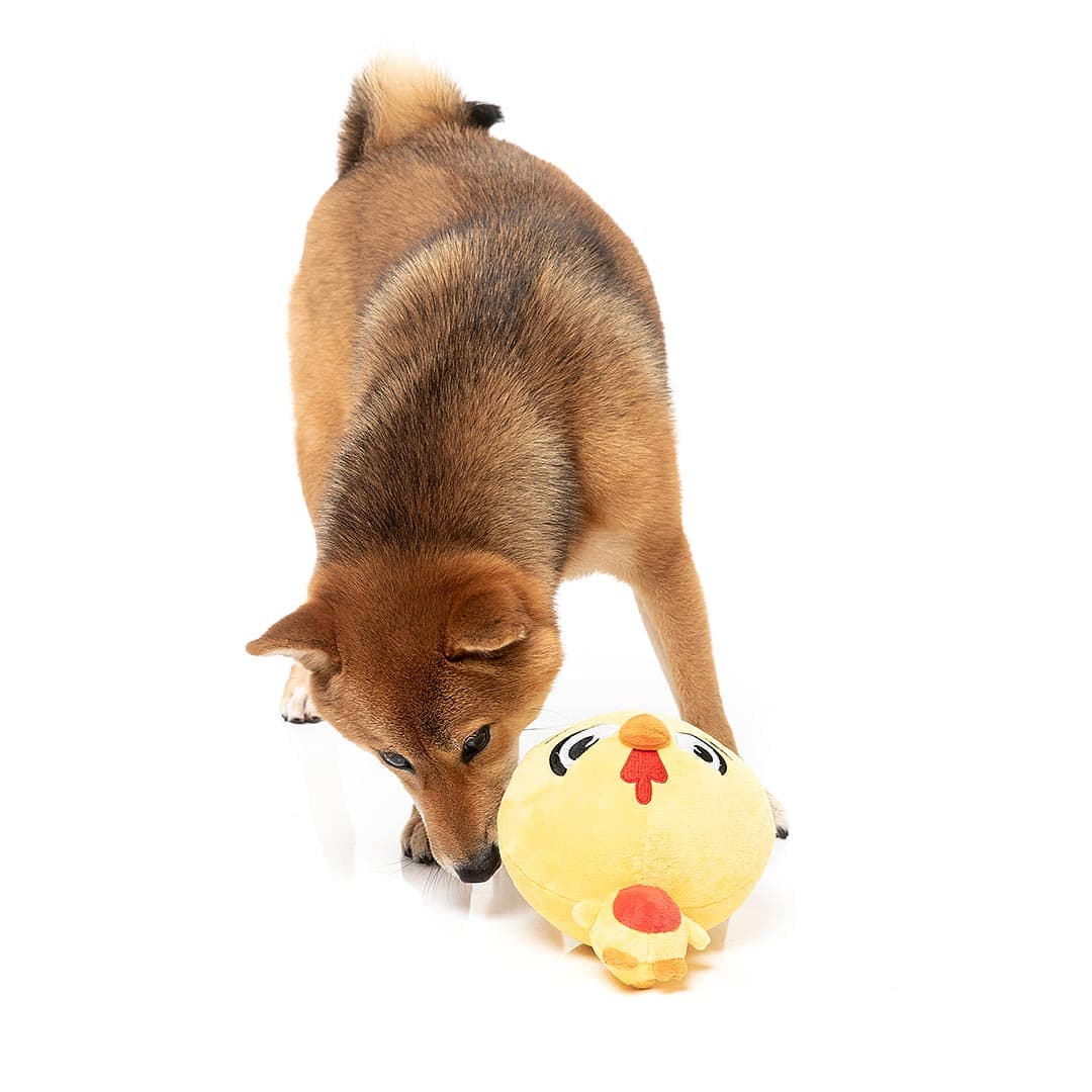 FuzzYard Noggins – Hen Diesel