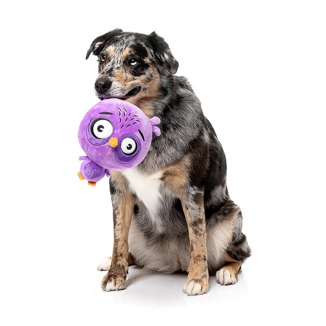 FuzzYard Noggins – Hoo-Dini