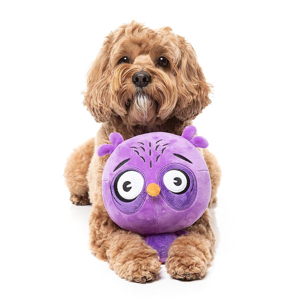 FuzzYard Noggins – Hoo-Dini