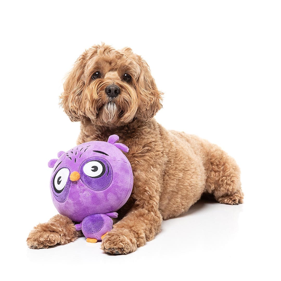 FuzzYard Noggins – Hoo-Dini