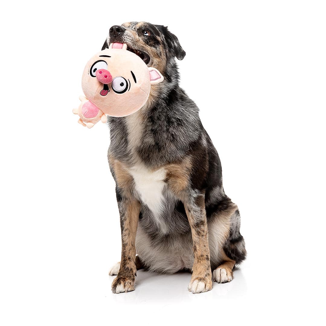 FuzzYard Noggins – Snoop Hogg