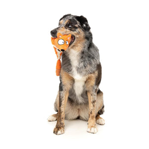 Hond speelt met FuzzYard Yeetz Farewell Fox – pluche hondenspeeltje in de vorm van een vos met geborduurd gezicht, verzwaarde bal in de kop en lang, vullingloos lichaam, ideaal apporteerspeelgoed om te slingeren, gooien en spelen voor honden
