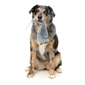 Hond speelt met FuzzYard Yeetz Rack Off Rat – pluche hondenspeeltje in de vorm van een rat met geborduurd gezicht, verzwaarde bal in de kop en lang, vullingloos lichaam, ideaal apporteerspeelgoed om te slingeren, gooien en spelen voor honden
